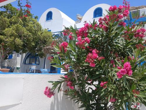 Φωτογραφία από το άλμπουμ του Flora Studios Perissa Santorini στην Περίσσα