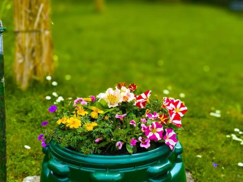 a green pot filled with flowers in the grass at Authenticity Preserved in Brionne
