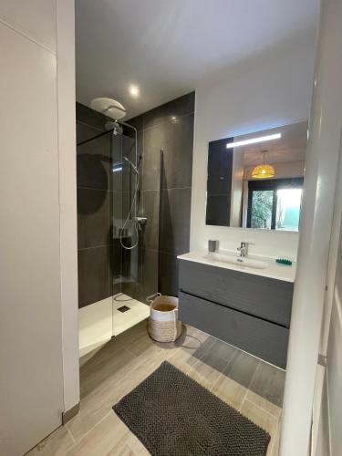 une salle de bain avec douche et lavabo dans l'établissement Charmant T2, centre village, à Vallon-Pont-dʼArc