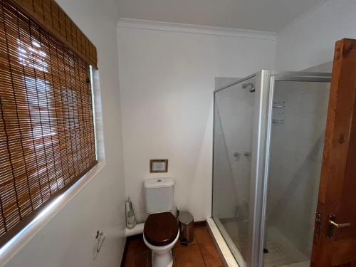 un bagno con wc e doccia in vetro di Gracie's Cottage a Clarens