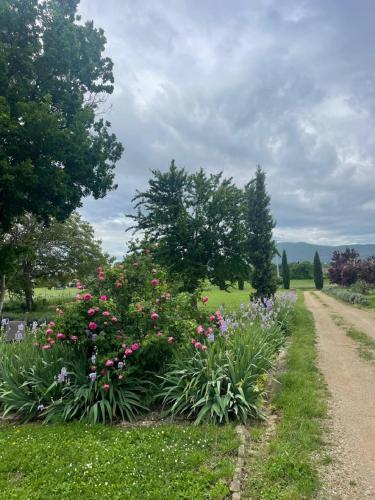 a garden with flowers and a dirt road at Agriturismo La Segolina in Colle Val D'Elsa