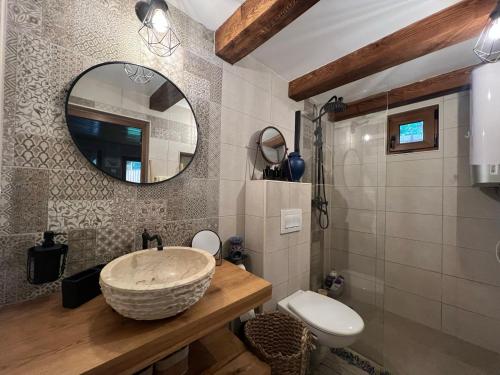 a bathroom with a sink and a toilet and a mirror at Villa Garden Balvanyos in Turia
