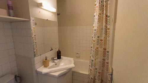 une salle de bain avec un lavabo et un rideau de douche dans l'établissement Chez loverchy, à Annecy