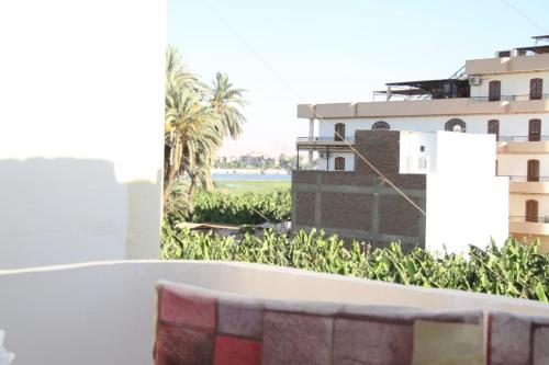 a view from the balcony of a building with a palm tree at One Love Guesthouse & Restaurant in Luxor