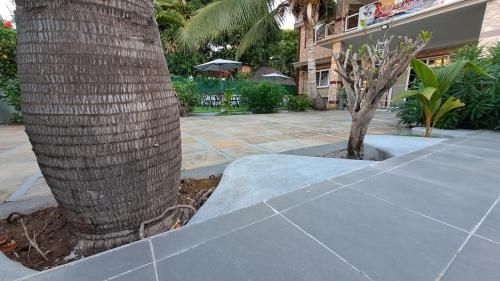 a palm tree next to a sidewalk next to a building at Soleil Vacances Bed and Breakfast in Flic-en-Flac