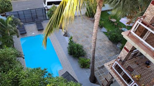 an overhead view of a swimming pool with a palm tree at Soleil Vacances Bed and Breakfast in Flic-en-Flac