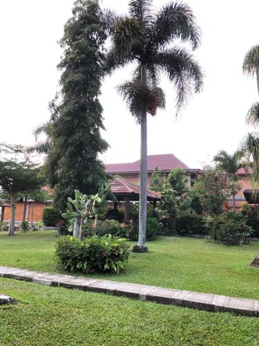 a palm tree in a park next to a house at Hariara Guest House in Tuk Tuk
