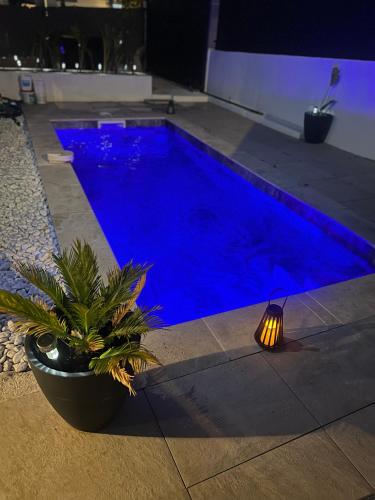 une piscine bleue avec une lumière à côté d'une plante dans l'établissement Villa 4 chambres avec piscine en bord de mer, à La Garde