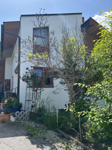 Bijou Homestay II - Mansarde Room w Mountain View