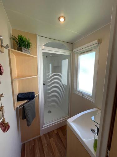 une salle de bain avec douche et lavabo dans l'établissement Mobil-Home proche Europa-Park, à Boofzheim