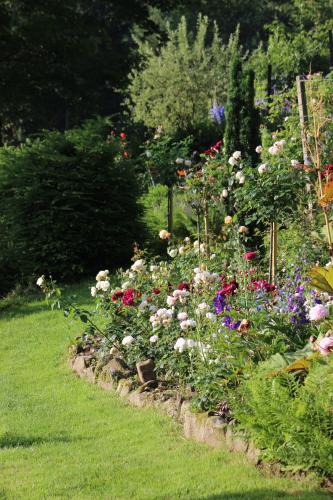 a garden filled with lots of different colored flowers at The Moosbach Garden in Nordrach