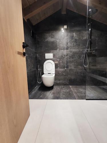 a bathroom with a toilet and a glass shower at Palorto Inn in Gjirokastër