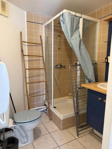 une salle de bain avec une douche, des toilettes et un lavabo dans l'établissement Bel appart t2 lumineux avec terrasse hyper centre., à La Rochelle