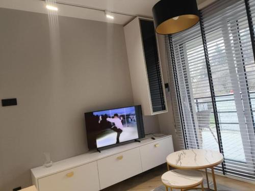 TV a/nebo společenská místnost v ubytování Apartament Haven