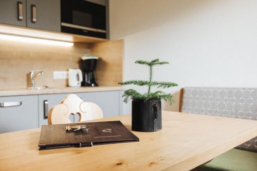 a potted plant sitting on top of a wooden table at Hotel Silberfux in Sankt Veit im Pongau