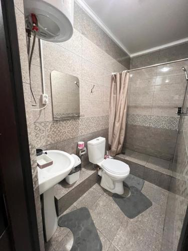 a bathroom with a toilet and a sink and a shower at Sayak hostel in Karakol
