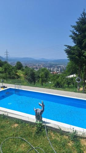 Kolam renang di atau dekat dengan Apartmani Lana