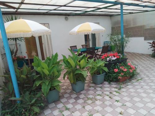 un patio avec une table, un parasol et des plantes dans l'établissement Appartement, à Lunel-Viel