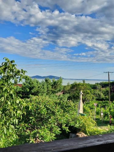 Panoráma Pelsó Apartman