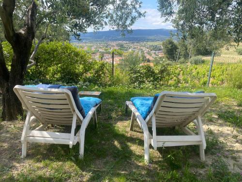 GuestHouse Du Moulin (logement neuf)