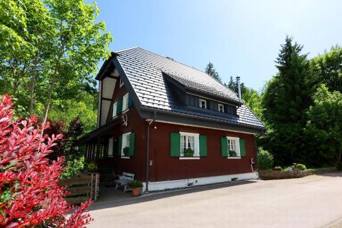 a small brown house with a black roof at Schwarzwaldhaus St Blasien, Direkt Am Bach in St. Blasien