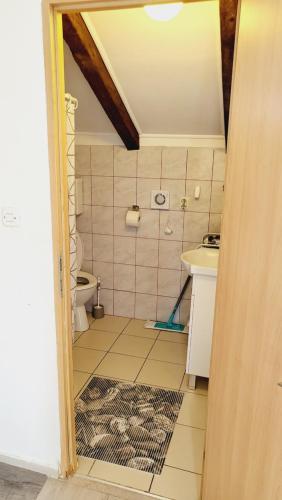 a bathroom with a toilet and a sink at Apratmani Maretic in Ugrinići