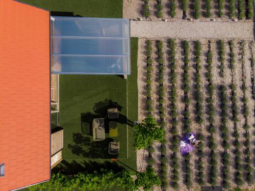 Giardino di WOWcabin - Lovas