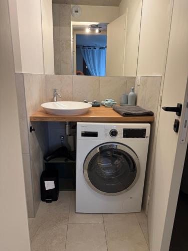 une salle de bain avec une machine à laver et un lavabo dans l'établissement Gites Les Rochers de Plaisians, à Plaisians