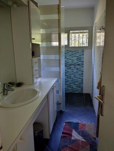 une salle de bain avec un lavabo, un miroir et une douche dans l'établissement maison la ville a la campagne, à Cahors