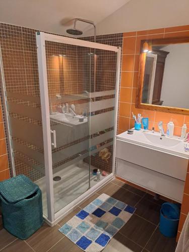 une salle de bain avec une douche en verre et un lavabo dans l'établissement Chambres proche gare centre ville, au Mans