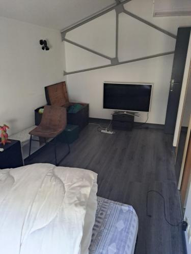 une chambre avec un lit et une télévision à écran plat dans l'établissement Chambres proche gare centre ville, au Mans