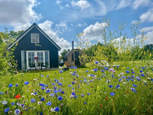 a field of blue flowers in front of a blue house at Stuga Kodawari in Voorhout
