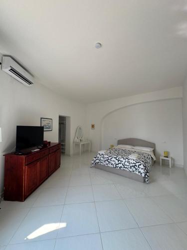 a bedroom with a bed and a flat screen tv at Il Caimano B & B, con piscina dall'11 Luglio al 31 Agosto in Vulcano