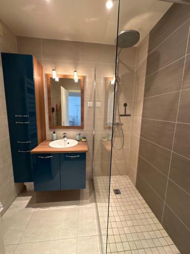 une salle de bain avec un lavabo et une douche dans l'établissement T2, balcon, centre et lac, garage, 73m2, calme chic, à Annecy