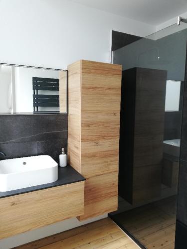 une salle de bain avec un lavabo et une douche dans l'établissement Propriété de cœur de ville avec piscine et jardin partagés, à Saint-Pierre-dʼOléron