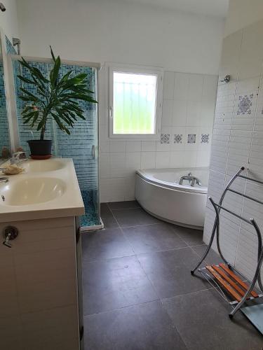 La salle de bains est pourvue d'une baignoire, d'un lavabo et d'une plante. dans l'établissement Nature et baignades au nord de l’Hérault, à Saint-Bauzille-de-Putois