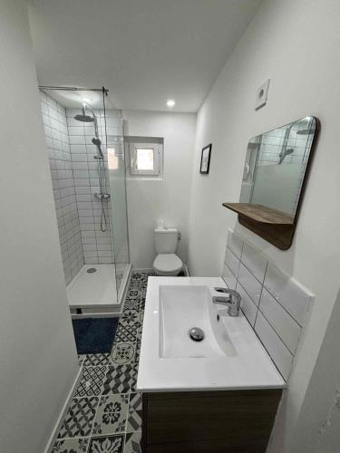 une salle de bain avec un lavabo, une douche et des toilettes dans l'établissement Bel appartement à Riez, à Riez