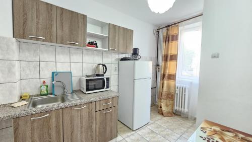 コンスタンツァにあるThe Anchor Apartmentのシンクと冷蔵庫付きのキッチン