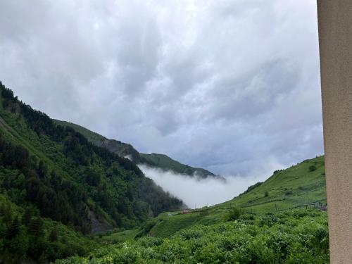 Naturlandschaft in der Nähe der Pension