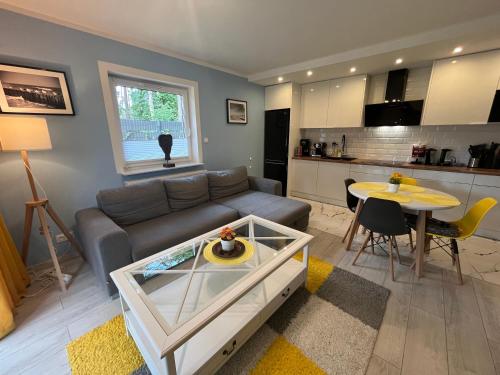 un salon avec un canapé et une table dans l'établissement Apartament Katarzyna, à Międzywodzie