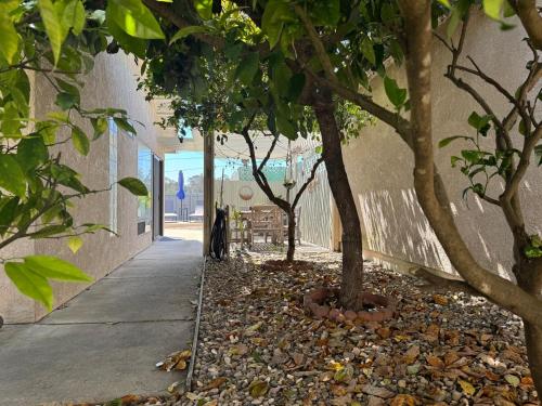 a sidewalk with trees in front of a building at Seaside Garden Escape, A Stroll to the Beach! in Grover Beach