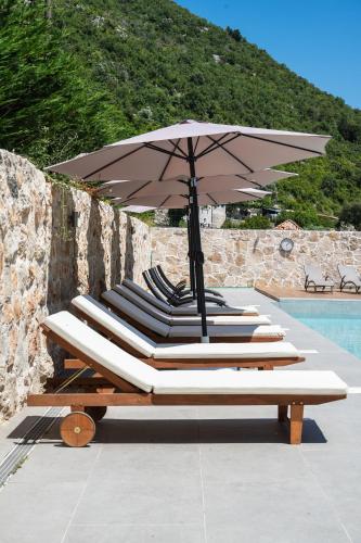 GuestHouse Mrshe Palace photo 3