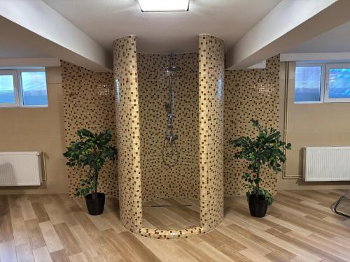 a bathroom with a shower with two potted plants at Villa Prestige in Sovata
