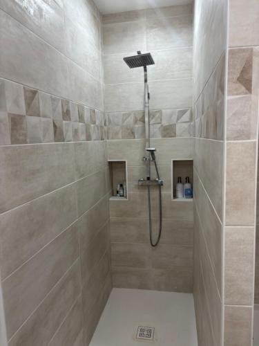 une douche avec pommeau de douche dans une salle de bain dans l'établissement Villa , piscine , jacuzzi 10 min de la mer, à Lunel