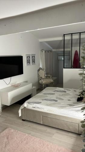 - une chambre avec un grand lit et une télévision dans l'établissement Villa , piscine , jacuzzi 10 min de la mer, à Lunel