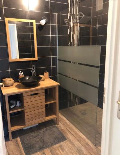 une salle de bain avec un lavabo et une douche dans l'établissement Le cocon de Stef, à Salies-de-Béarn