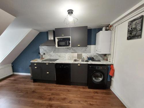 une cuisine avec un évier et une machine à laver dans l'établissement 2 master suites Hypercentre de Troyes Les Halles, à Troyes