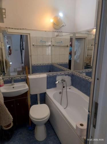 a bathroom with a toilet and a tub and a sink at Vila Ani in Techirghiol