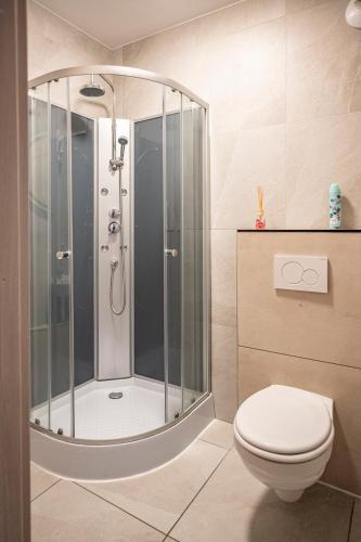 une salle de bain avec douche et toilettes dans l'établissement AbraCadabra Flat France Suisse, à Saint-Louis