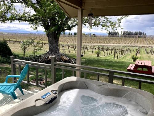 Φωτογραφία από το άλμπουμ του Vineyard and winery guest house 